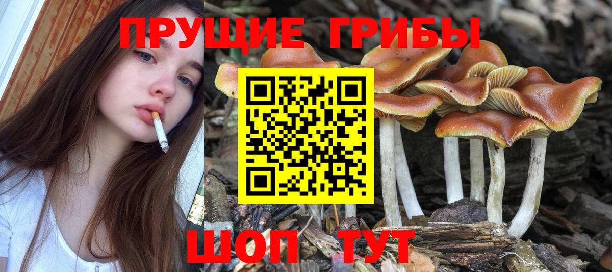 Галлюциногенные грибы ЛСД Горячий Ключ