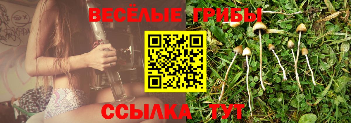 Горячий Ключ  Галлюциногенные грибы ЛСД  Вход с VPN  Галлюциногенные грибы мухоморы 
