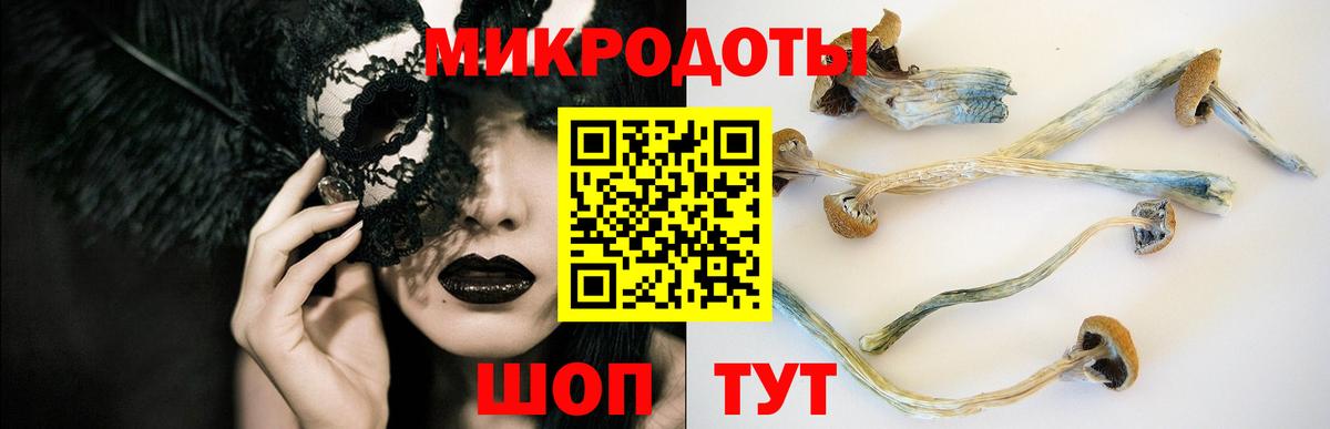 Бошки Шишки  NBOMe  Горячий Ключ  Меф   Вход с VPN  Экстази  Гашиш  A-PVP СК   Cocaine 
